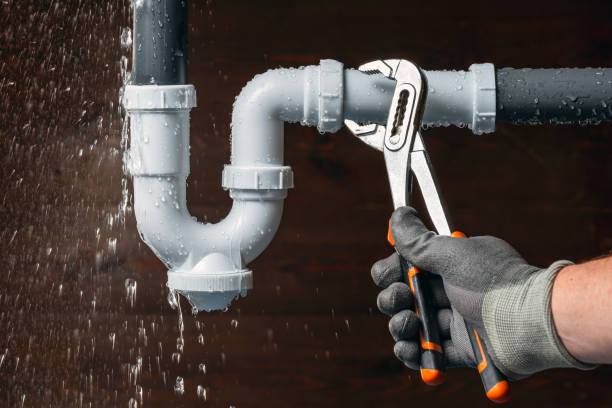 Professional Plumbing technician working in Claremont, MN